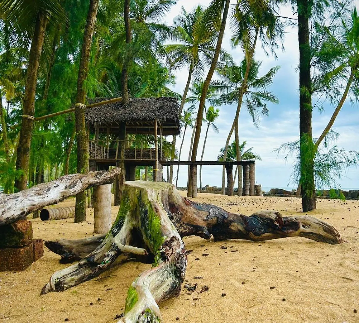 Serene Island Chavakkad Luxury tent